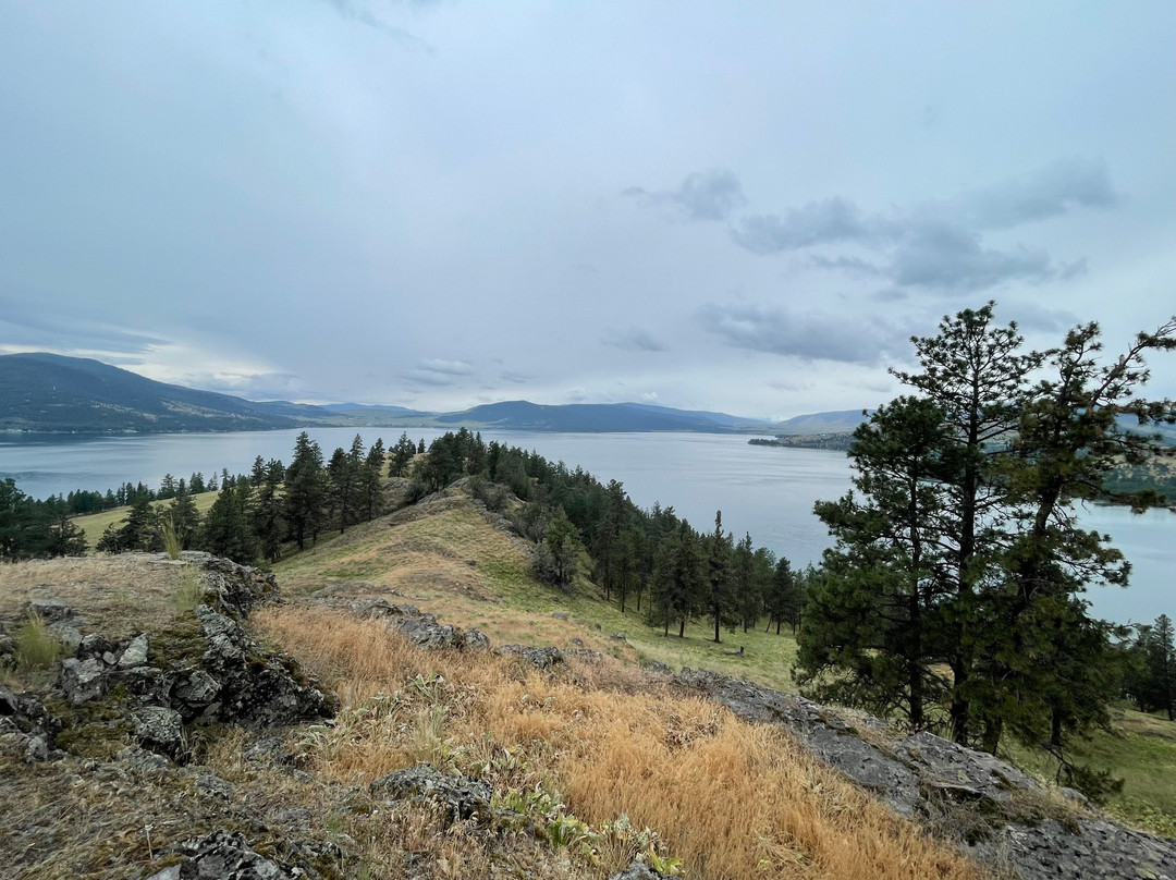 Boat Rentals and Rides on Flathead Lake-Big Arm必去景点