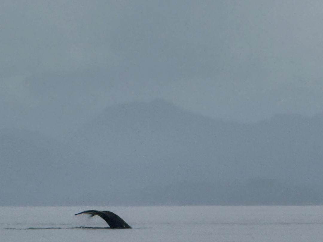 Ketchikan Chrome-凯奇坎必去景点