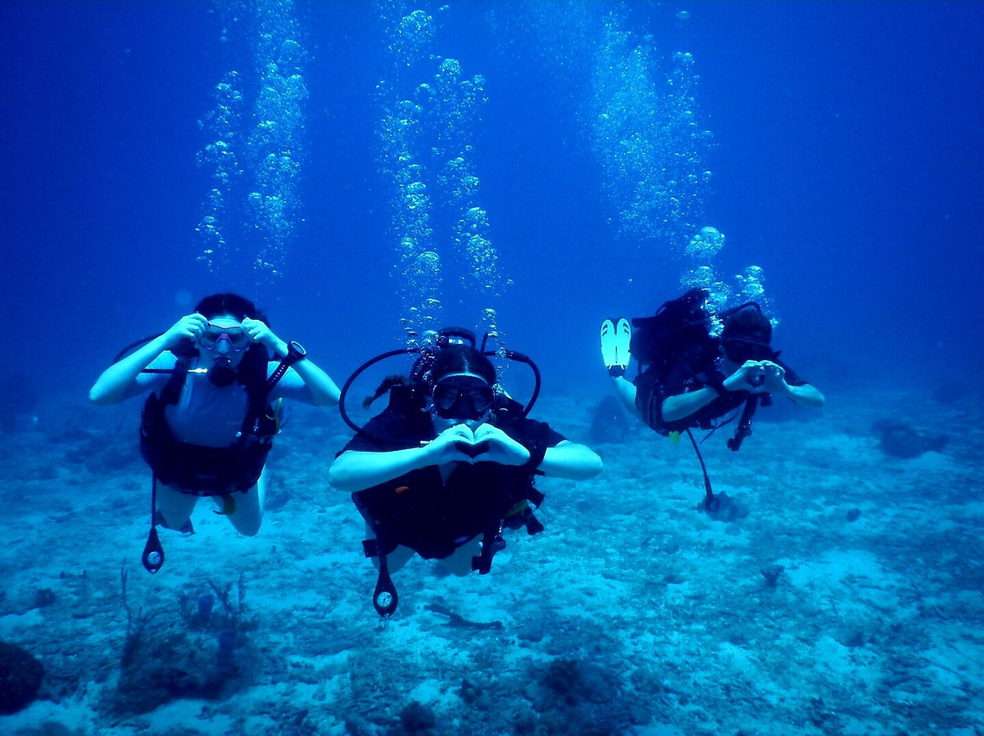 Basse-terre Plongée-Gourbeyre必去景点