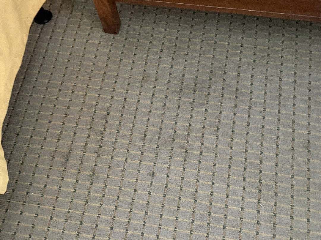 Holiday Inn Express & Suites Jacksonville By IHG主图