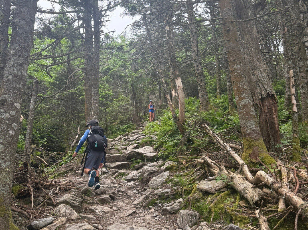 Camel's Hump State Park-沃特伯里必去景点