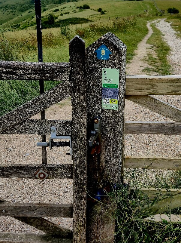 South Downs Way National Trail-Steyning必去景点