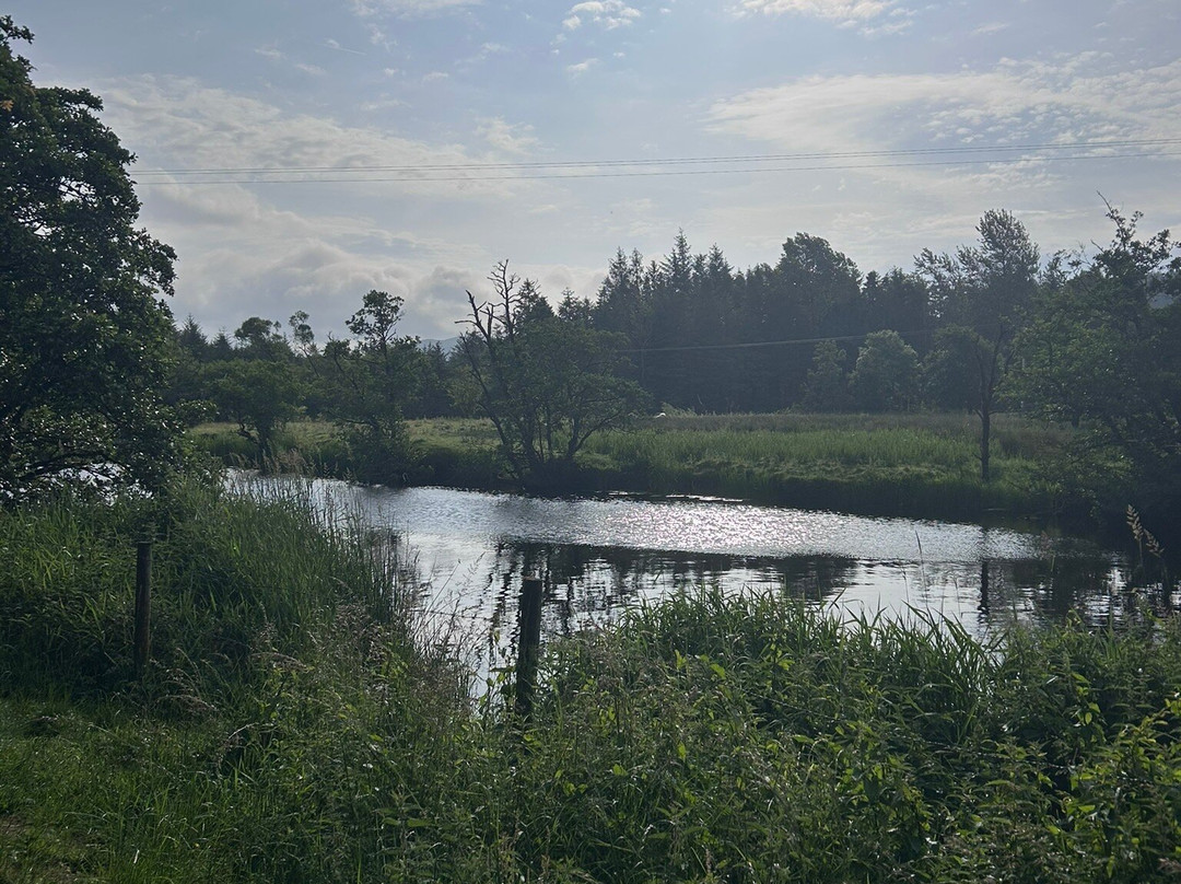 Union Wood / Ballygawley Lough-斯莱戈必去景点