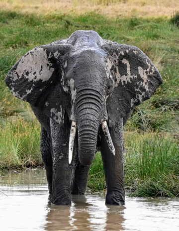 Vision Safari & Tours-阿鲁沙必去景点