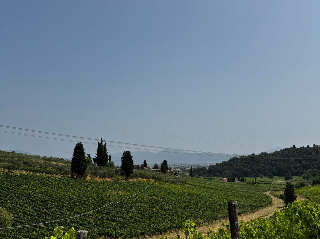 Fabrizio Pratesi Winery-Seano必去景点