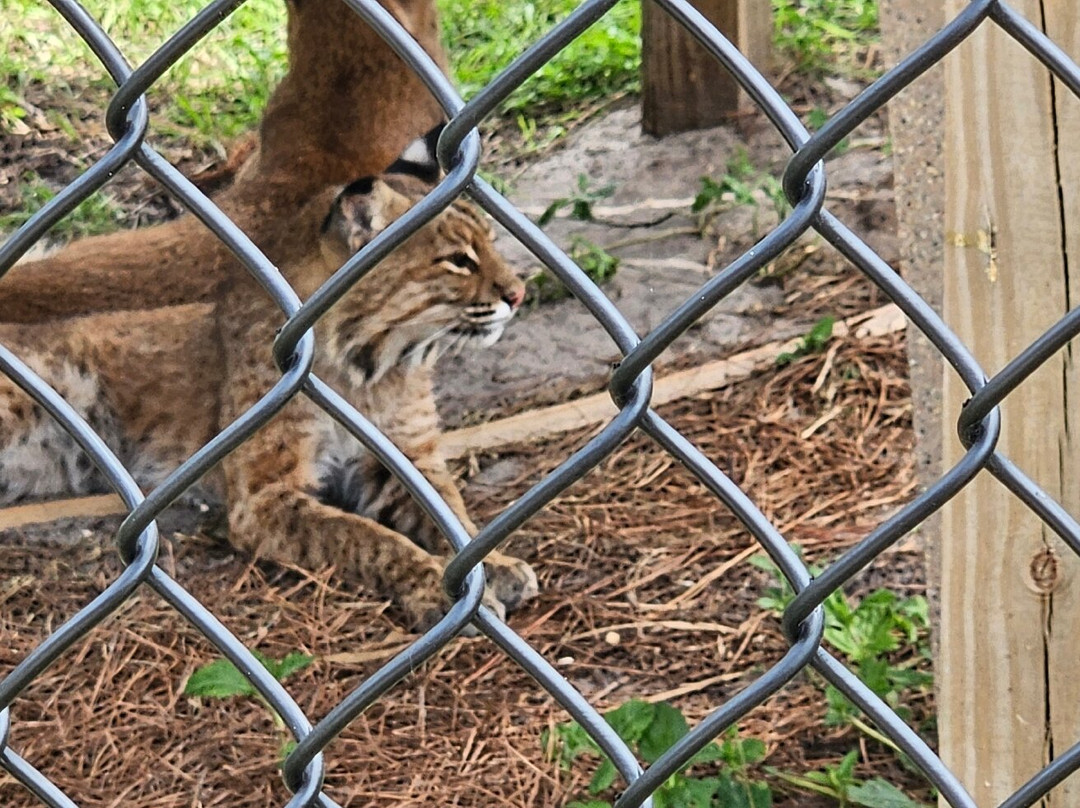 Busch Wildlife Sanctuary at Abramson & Schlaggar Reserve-朱庇特必去景点