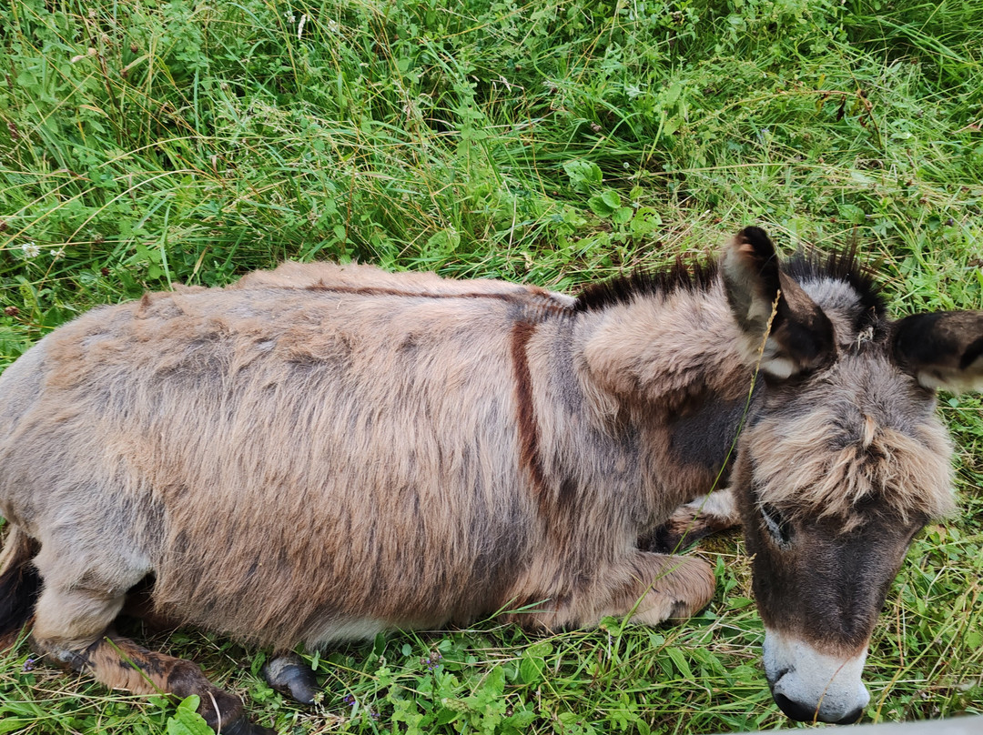 Balneario Elgorriaga主图