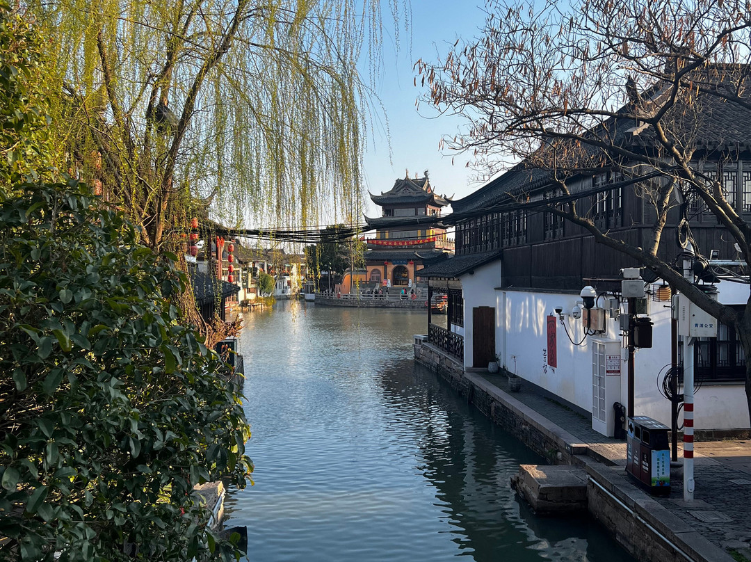 Hippo Tour Shanghai-上海市必去景点