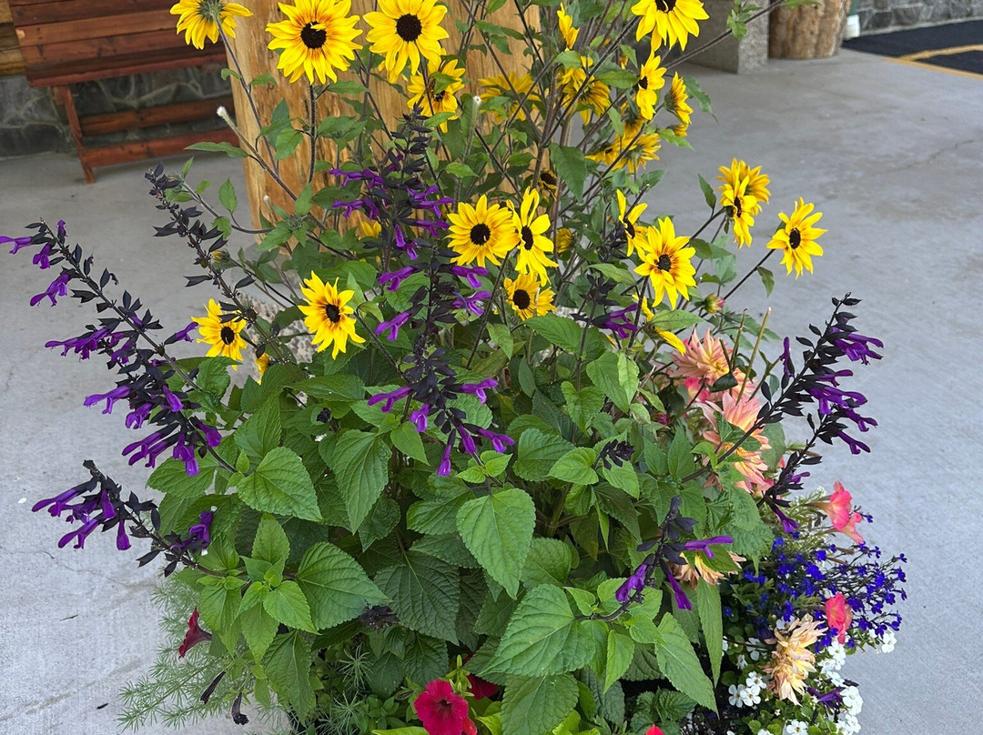 Ninepipes Museum of Early Montana-Charlo必去景点