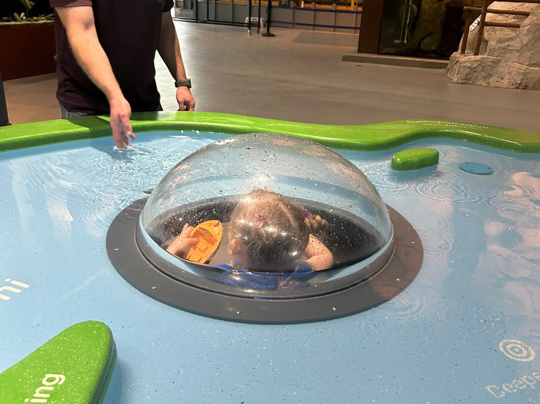 Great Lakes Aquarium-德卢斯必去景点