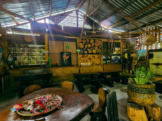 Inírida y Cerros de Mavecure (Guainía)-Inirida必去景点