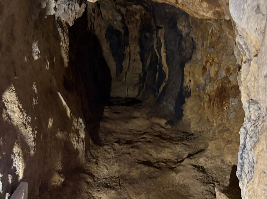 Galeriile Romane Rosia Montana-Rosia Montana必去景点