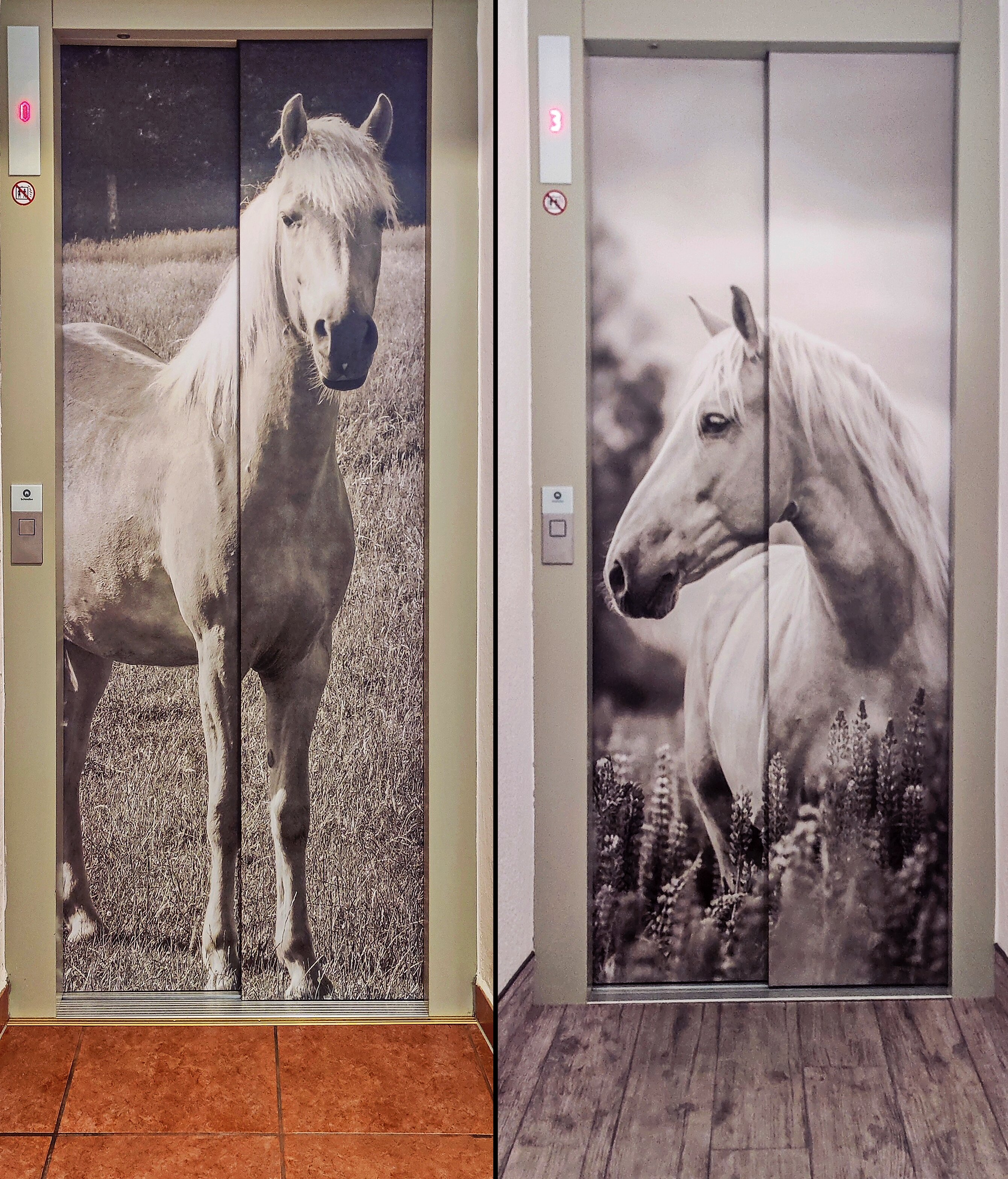 Hotel & Alpin Lodge Der Wastlhof-浴室