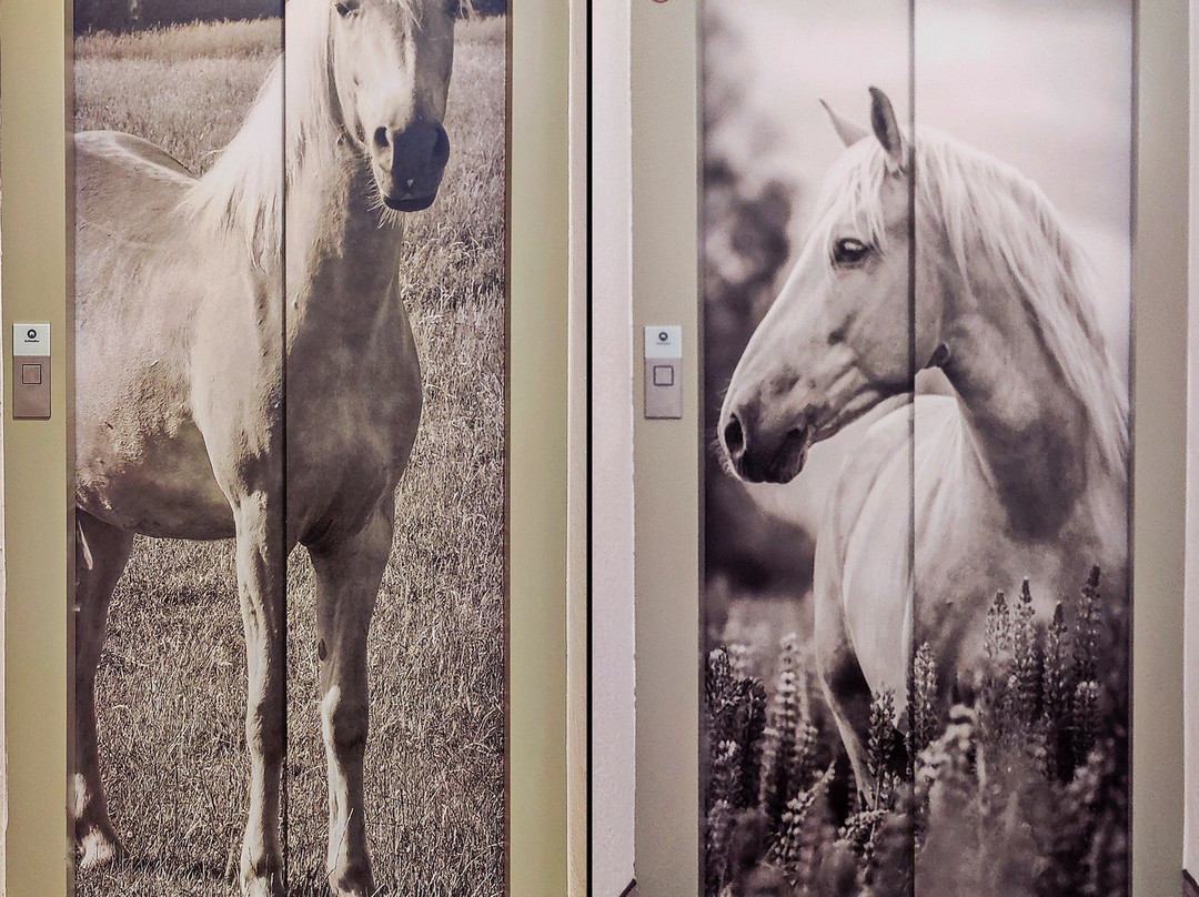 Hotel & Alpin Lodge Der Wastlhof主图