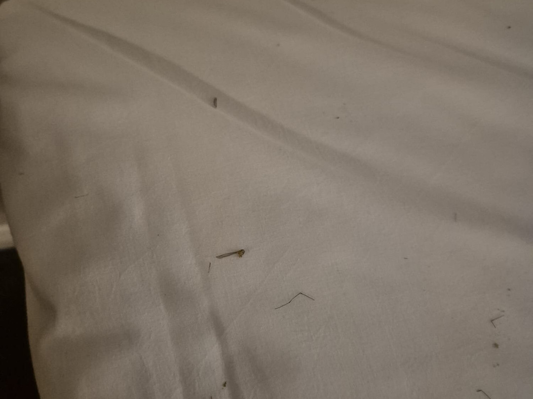 Travelodge Bedford Goldington Road主图