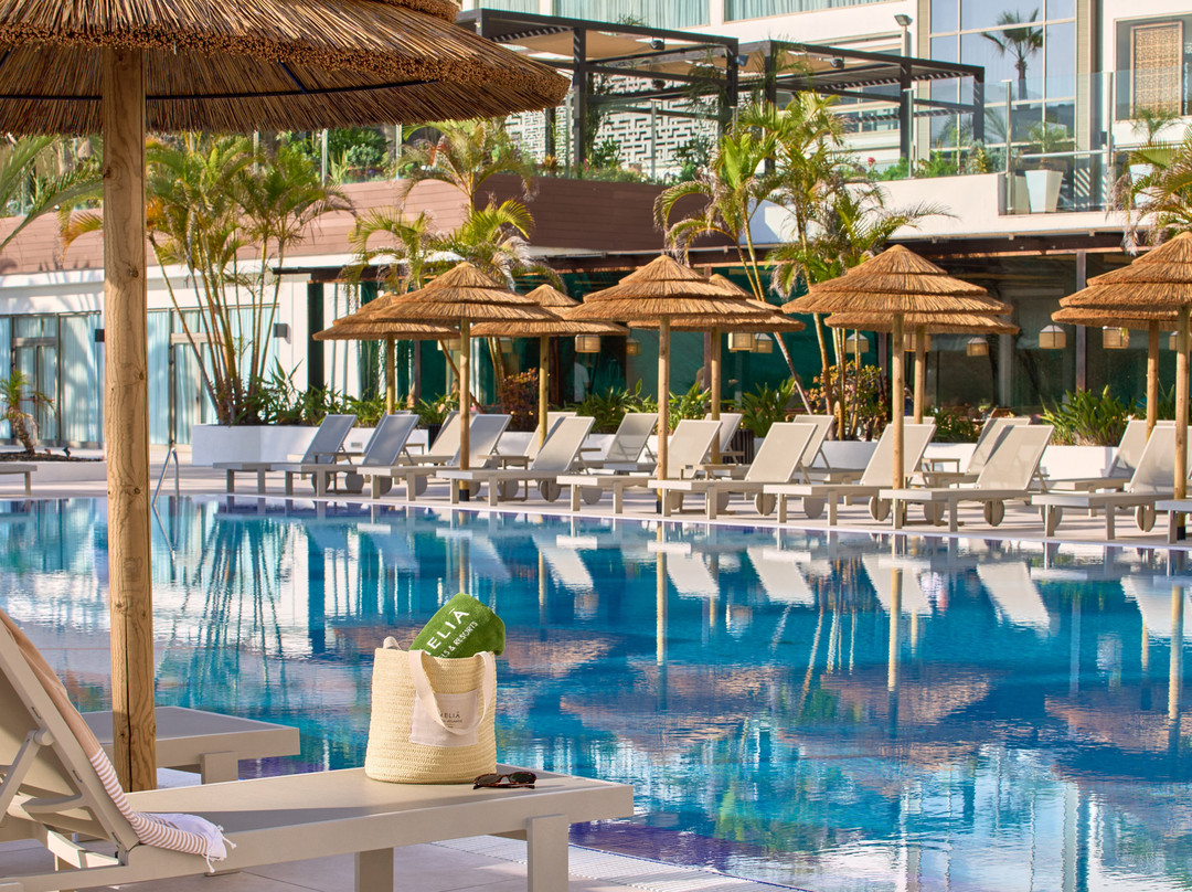 Meliá Costa Atlantis Tenerife主图