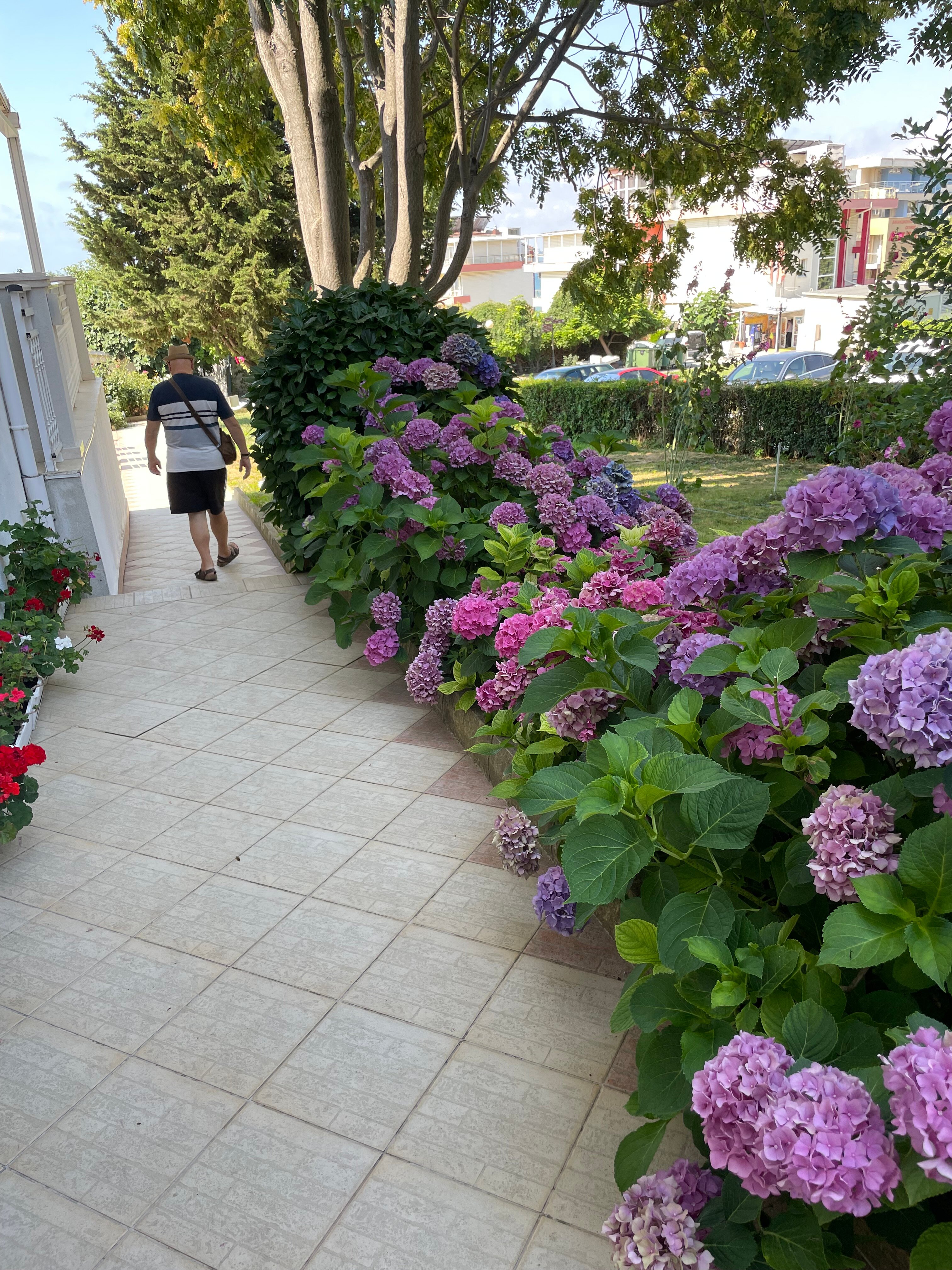 Hotel Panorama-浴室