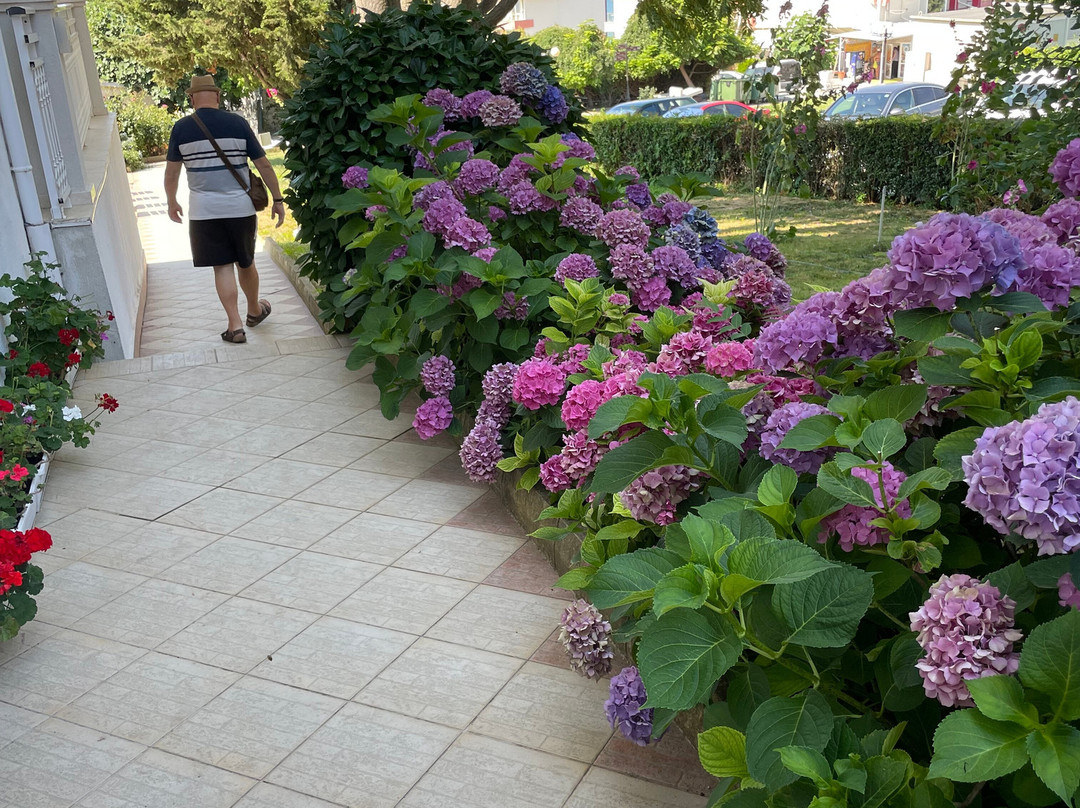 Hotel Panorama主图