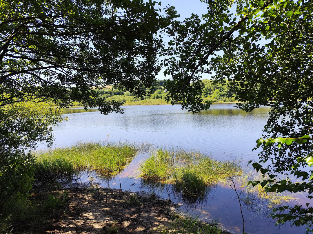 Etang Taureau