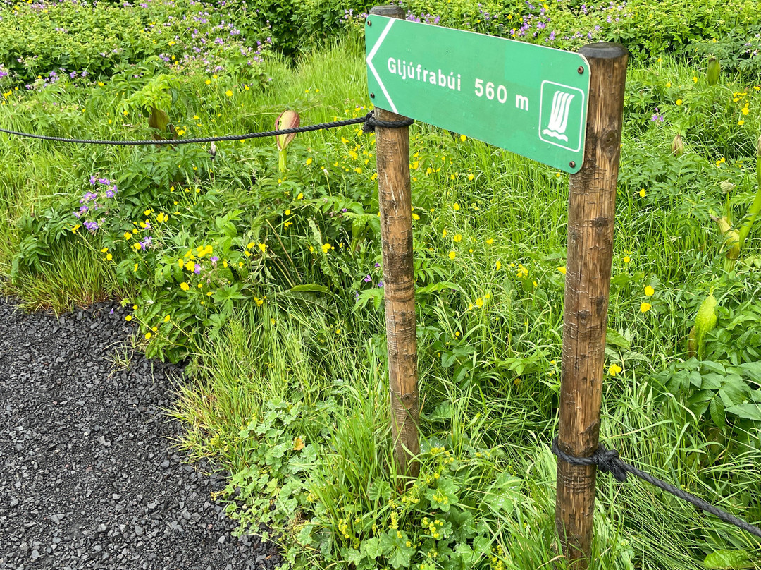 Gljufrabui Waterfalls-霍尔斯沃德吕尔镇必去景点