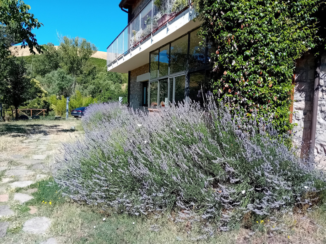 Taverna Centomani主图