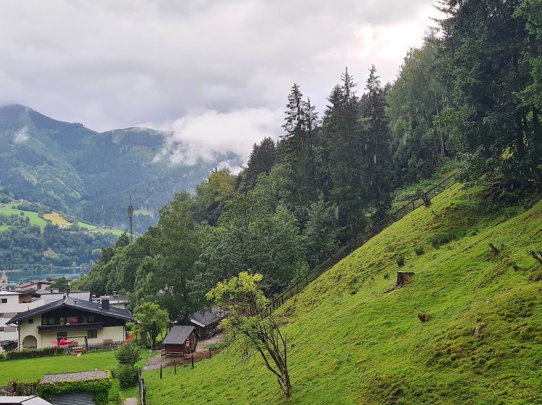 Hotel Der Waldhof主图