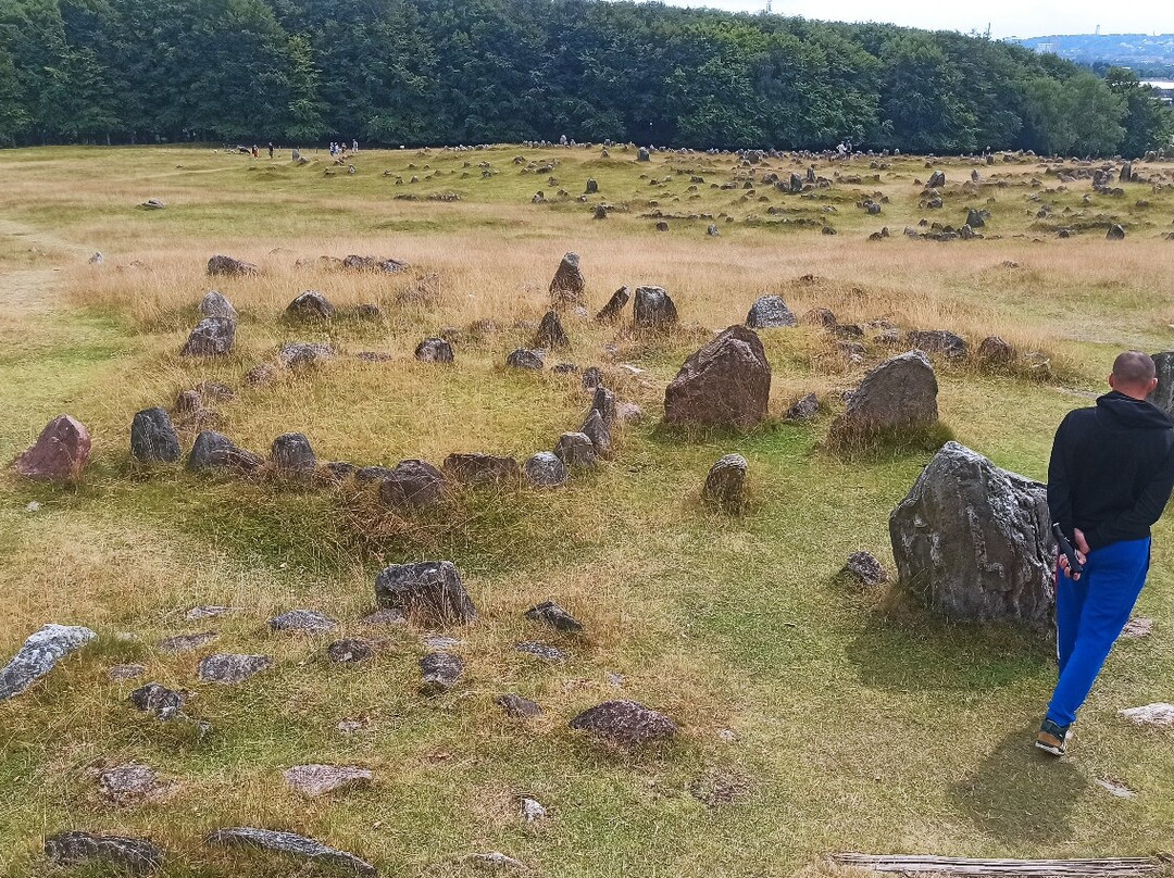 Vikingemuseet Lindholm Høje-Noerresundby必去景点