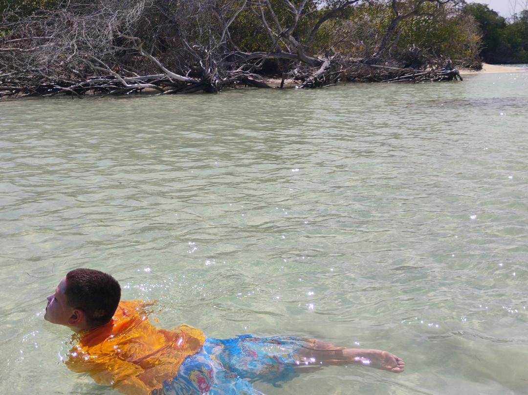 Bosque Estatal de Guánica-Guanica必去景点