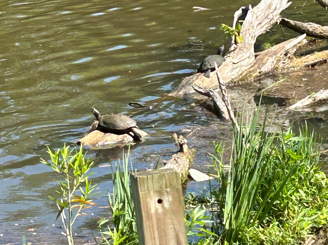 Springfield Botanical Gardens at Nathanael Greene/Close Memorial Park-斯普林菲尔德必去景点