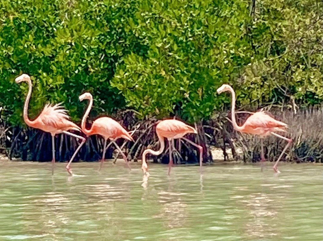 H&L Tours-普拉亚德尔卡曼必去景点
