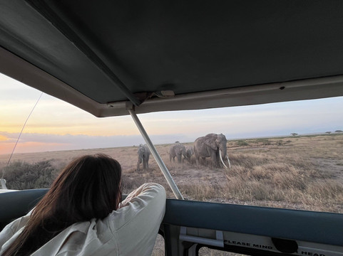 AMA Safaris-内罗毕必去景点