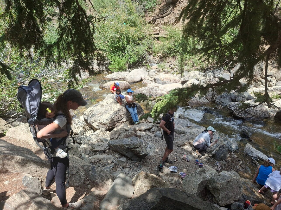 Fish Creek Falls-斯廷博特斯普林斯必去景点