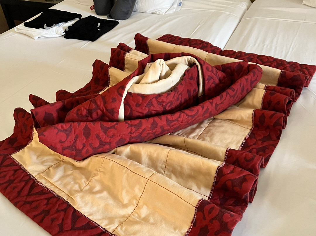 贾兹马卡蒂娜酒店主图