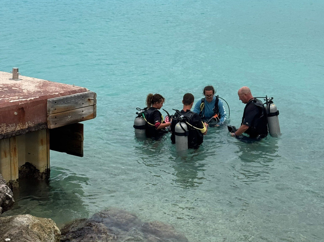 Coral Divers-威廉斯塔德必去景点