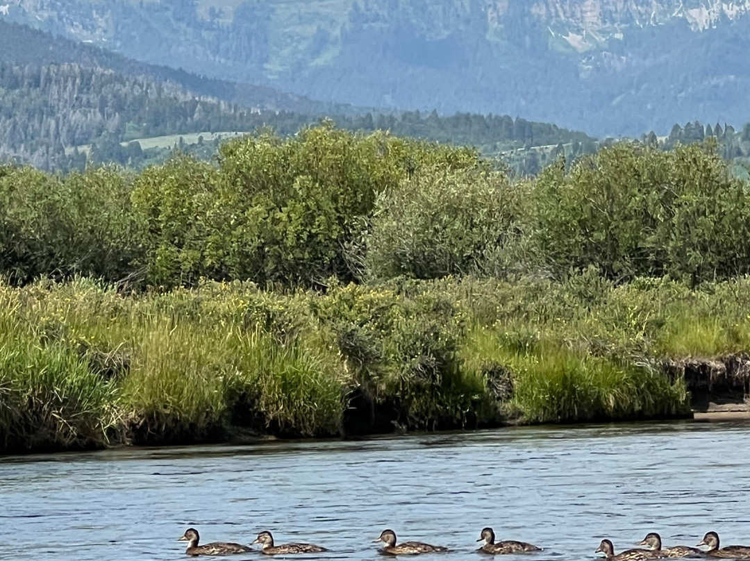 Teton River Supply-德里格斯必去景点
