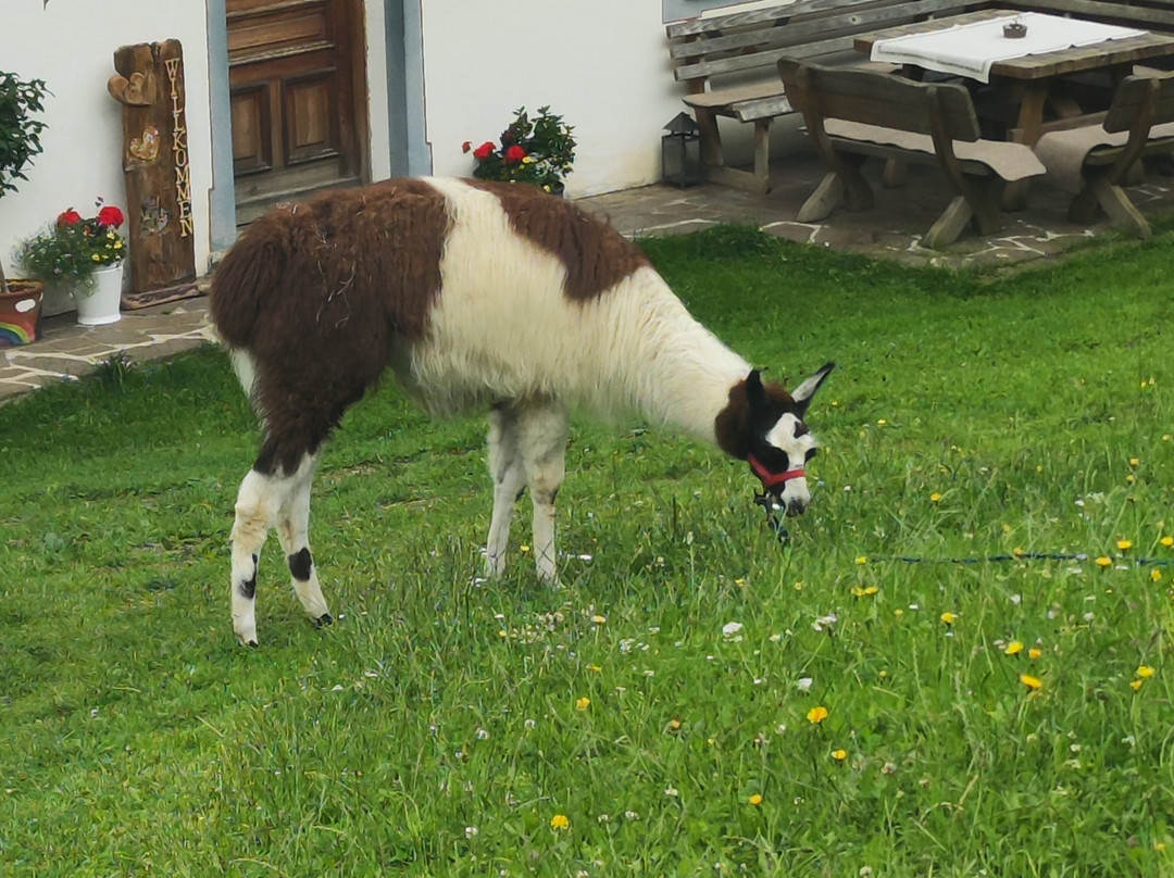 Wallfahrtskirche Maria Schnee-Maria Luggau必去景点