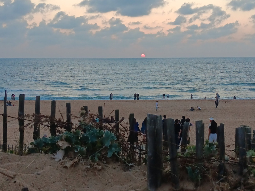 Plage Naturiste D'ondres