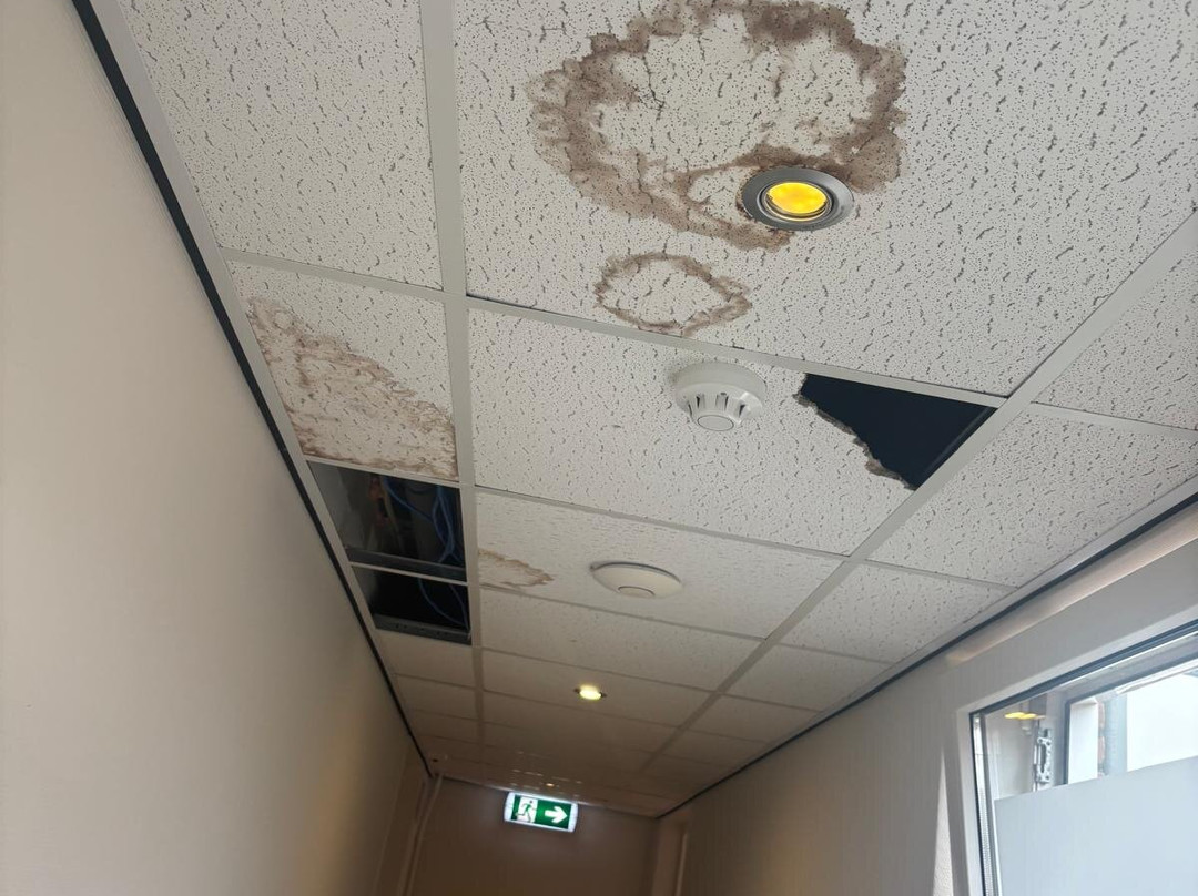 多洛雷斯酒店主图