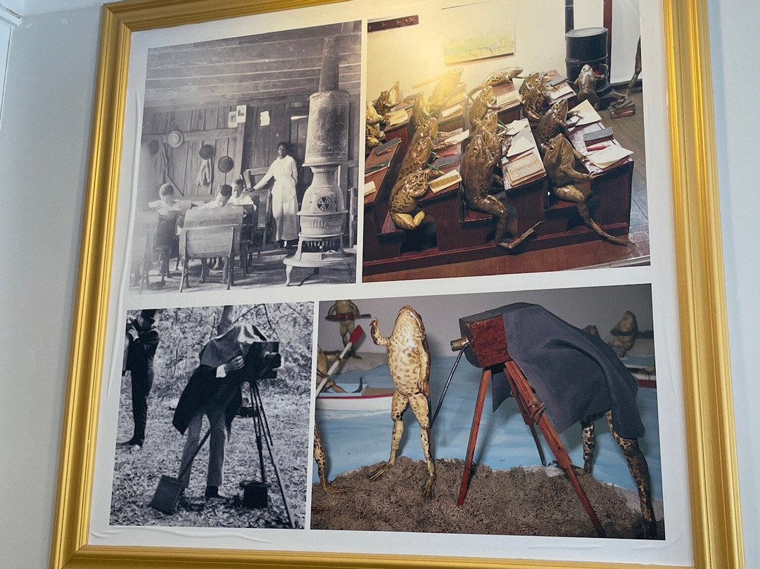 Froggyland-斯普利特必去景点