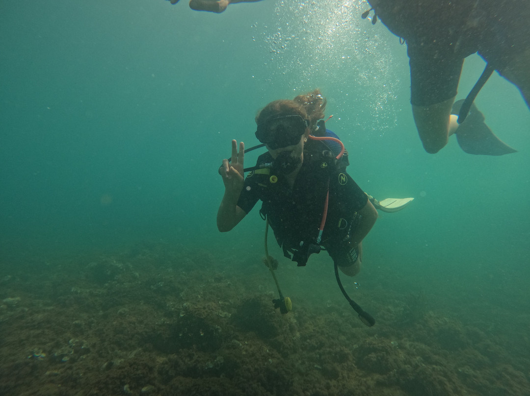 Glups Diving Cambrils-坎布里尔斯必去景点