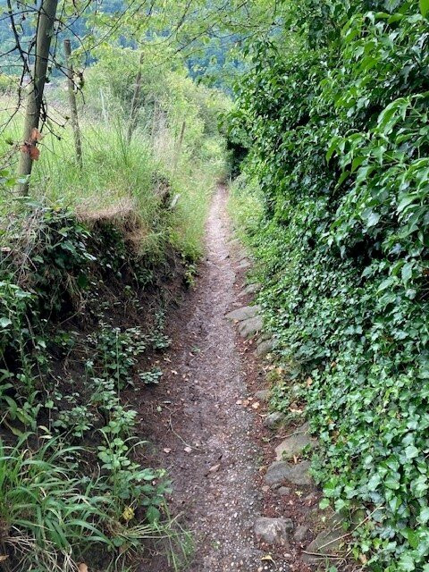 Burg Starkenburg-Heppenheim必去景点