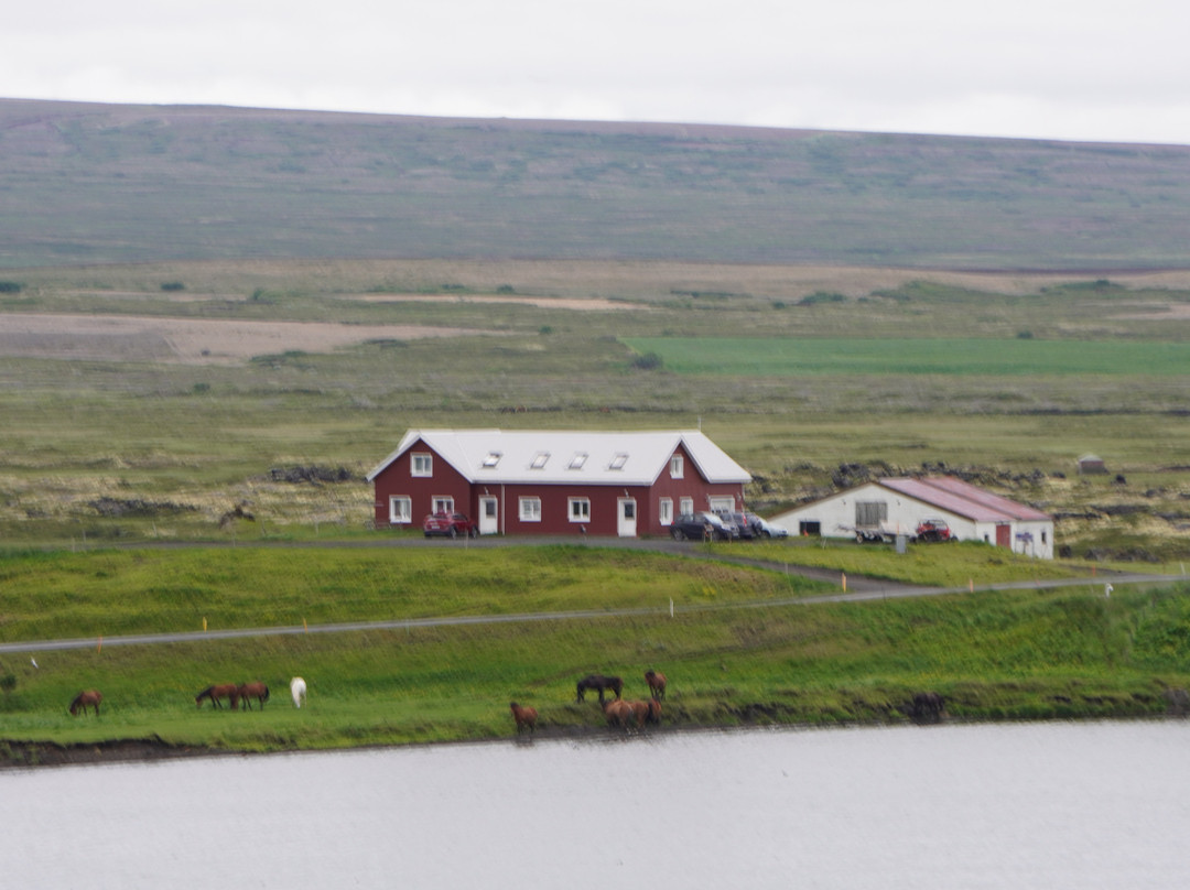 Skútustaðagígar-米湖必去景点