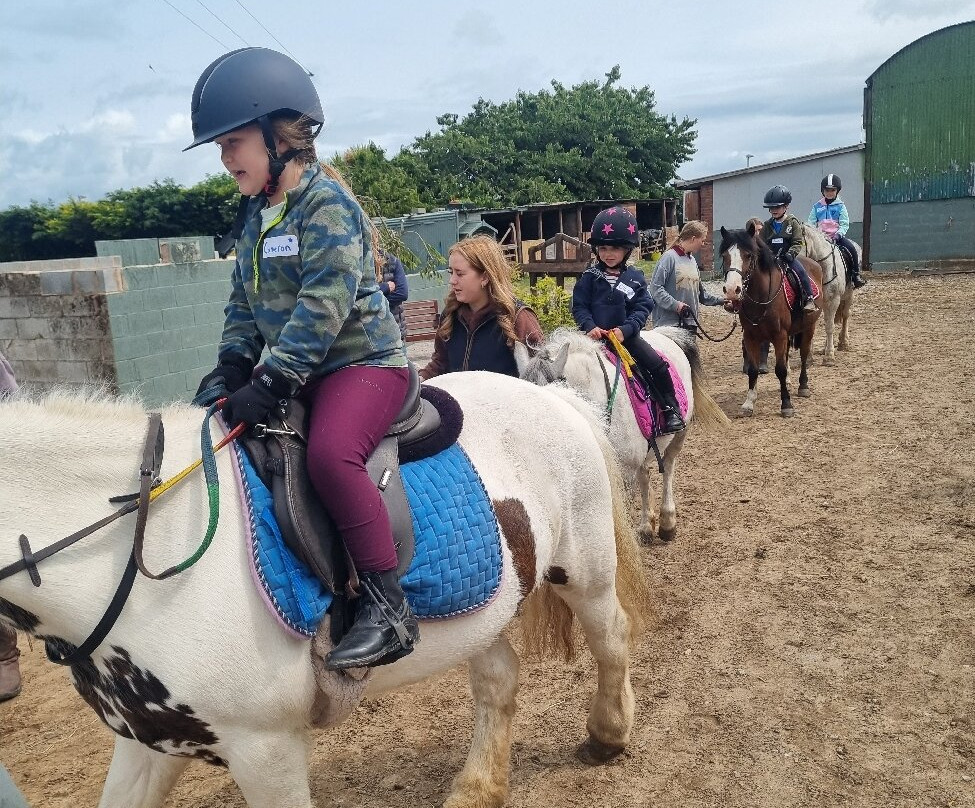 Bridlewood Equestrian Centre-Gwespyr必去景点