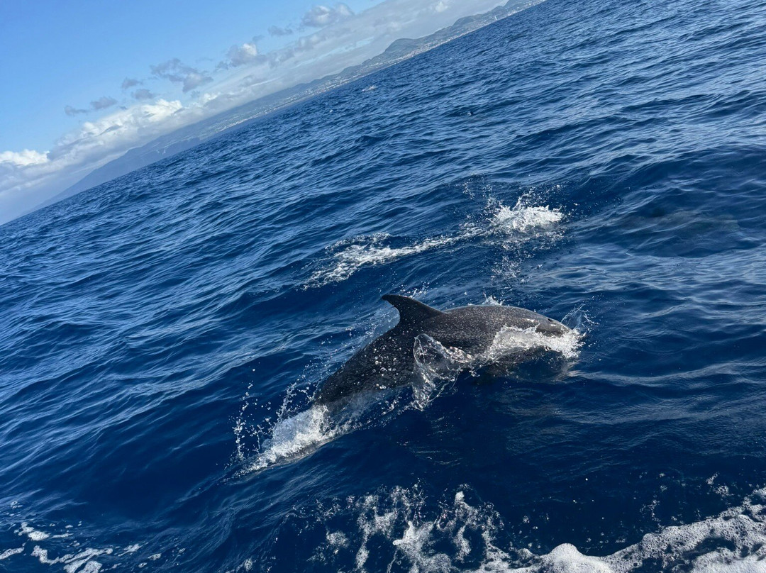 Futurismo Azores Adventures-蓬塔德尔加达必去景点