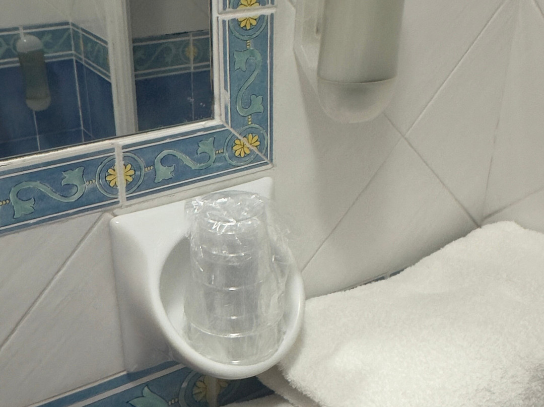 Hotel Saint Raphael主图