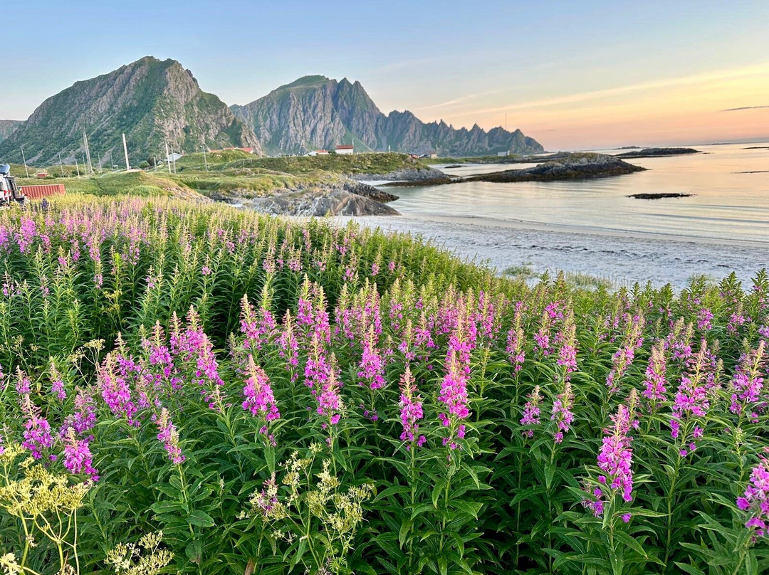 Andoya-Andoy Municipality必去景点