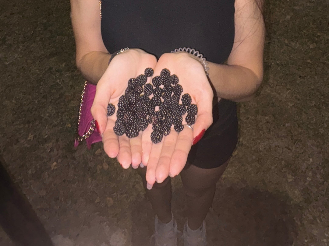 Il Parco dei Renai-锡尼亚必去景点