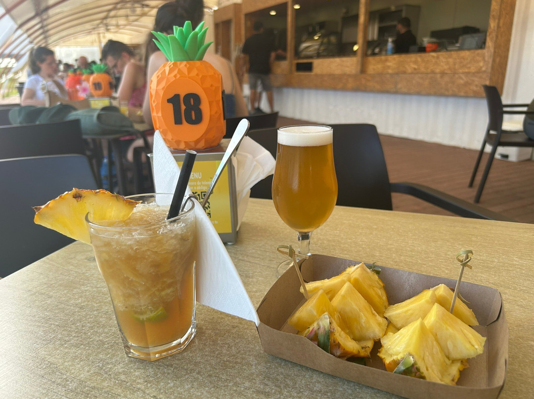 Plantação de Ananás dos Açores-蓬塔德尔加达必去景点