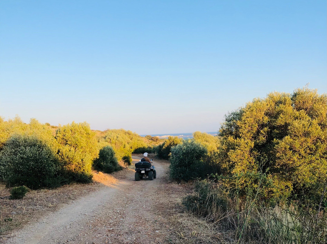 Quadiloc-Fitou必去景点