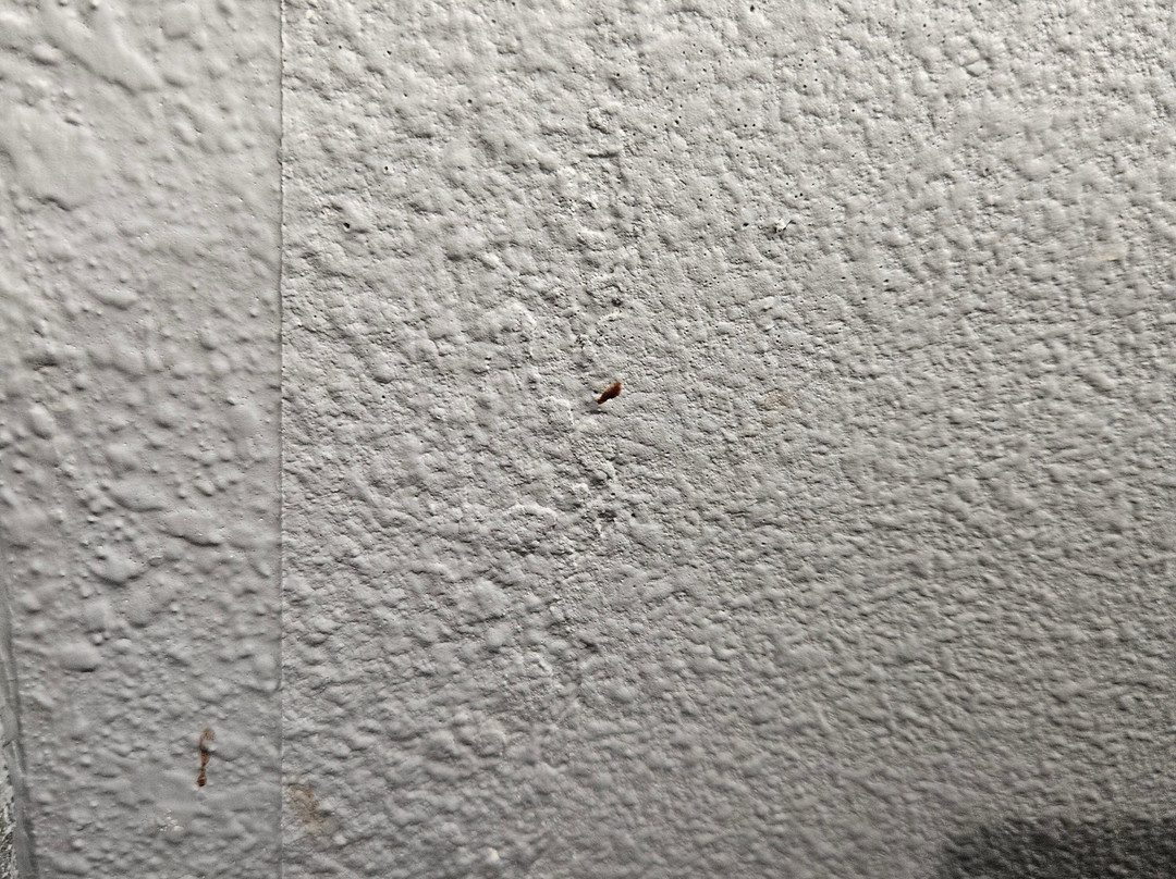 La Quinta Inn & Suites by Wyndham Chicago Gurnee主图